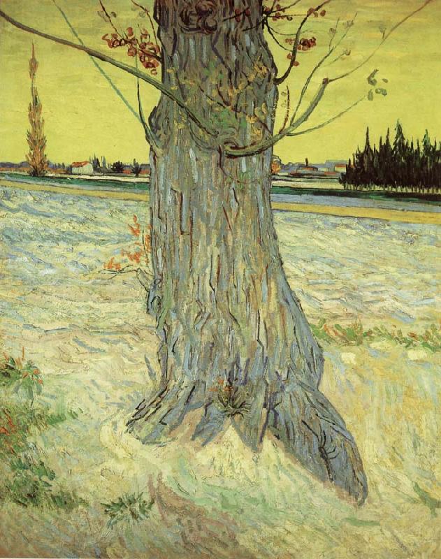 Vincent Van Gogh The Old yew tree Sweden oil painting art